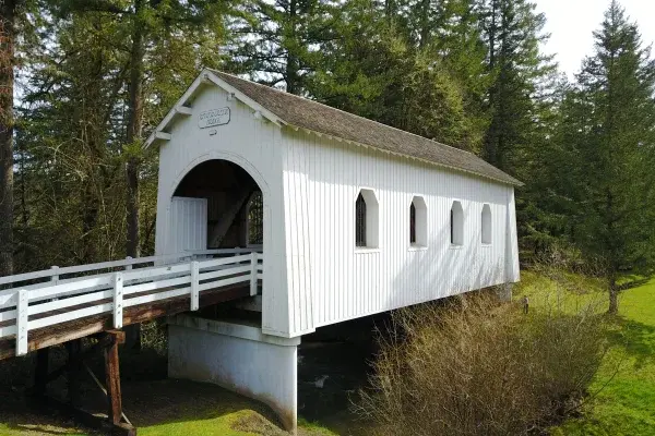 Ritner Creek Bridge — forest canopy view