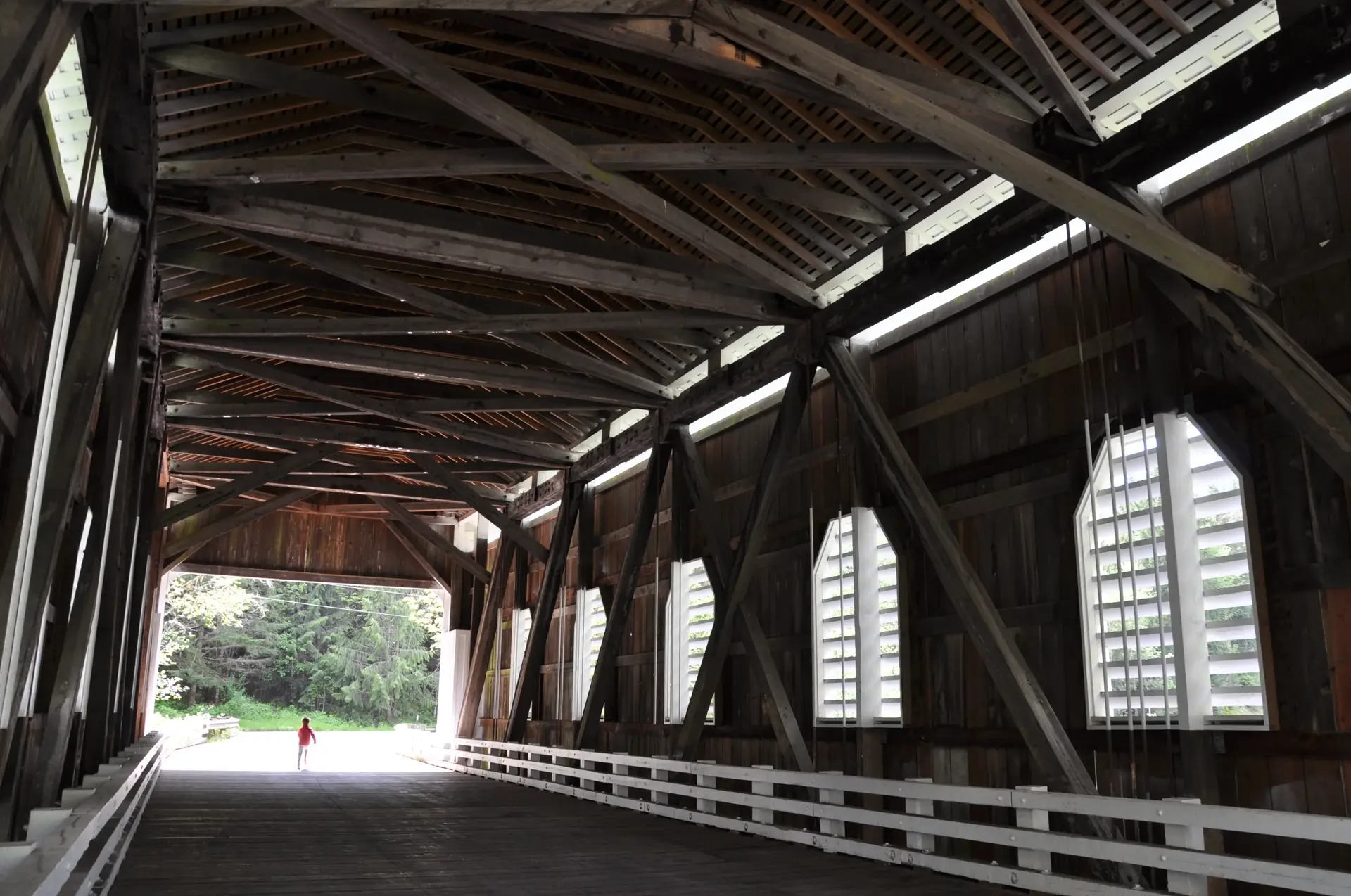 Dorena Bridge — reservoir view