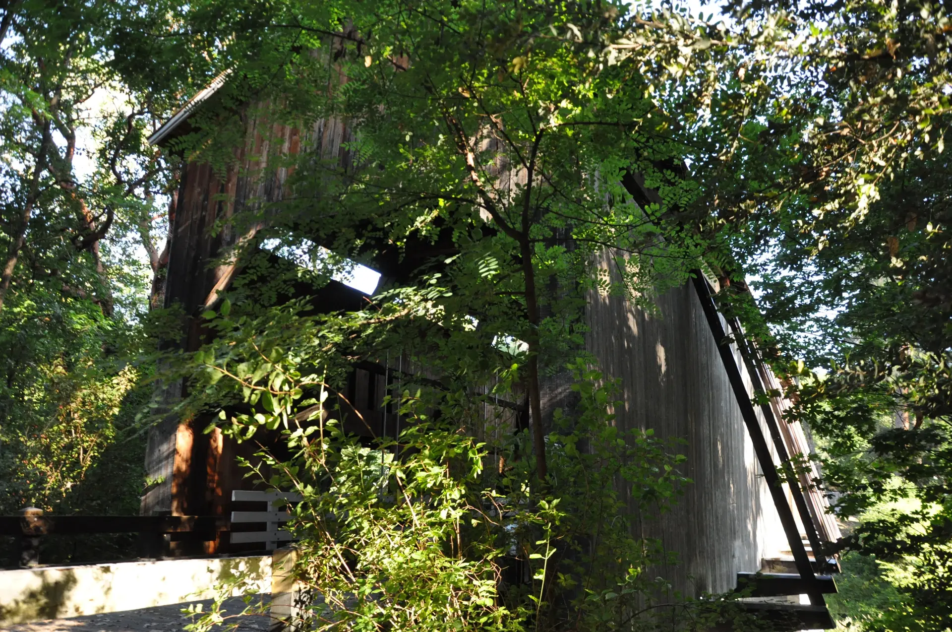 McKee Bridge — river view