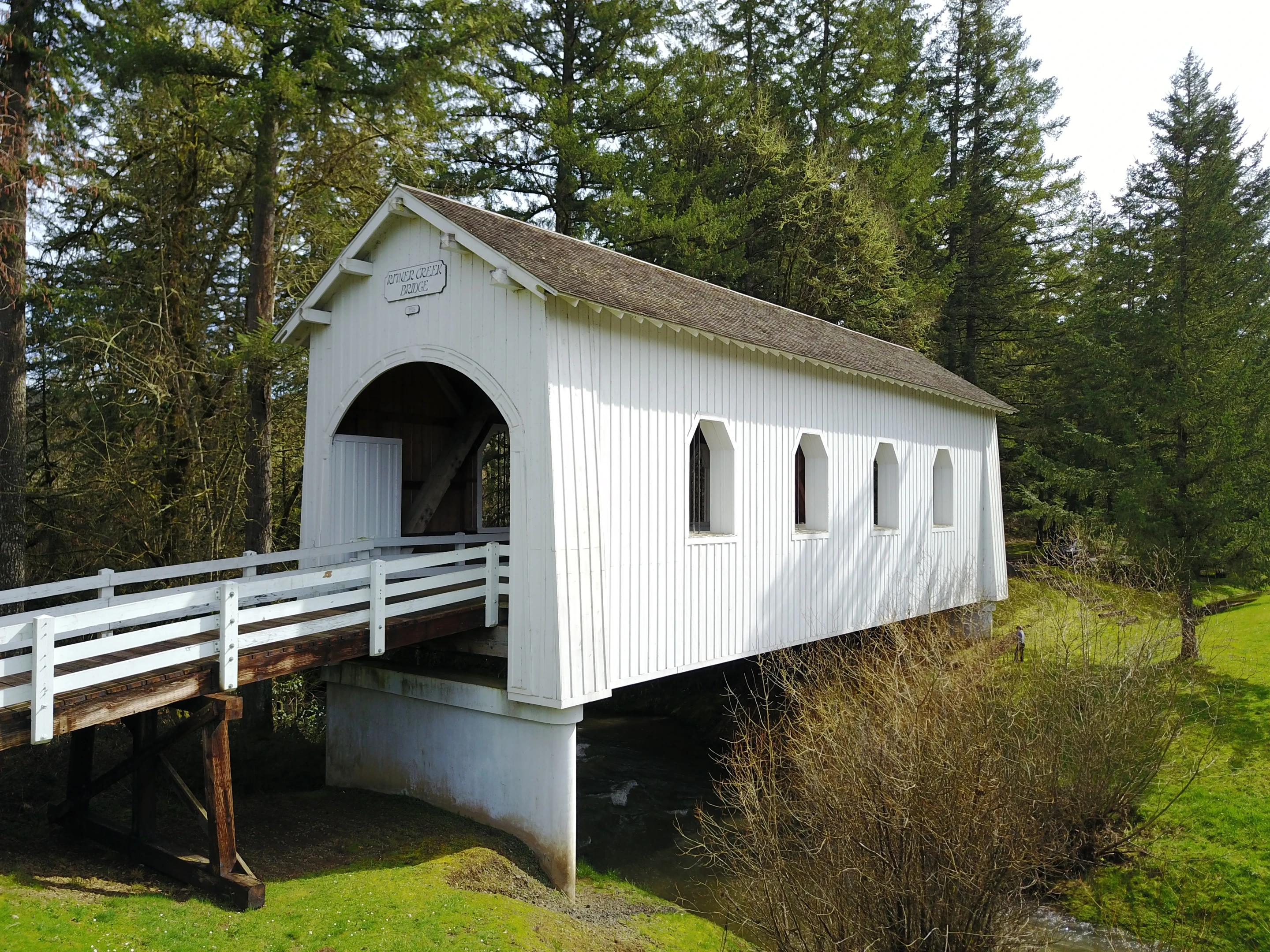Ritner Creek Bridge — forest canopy view