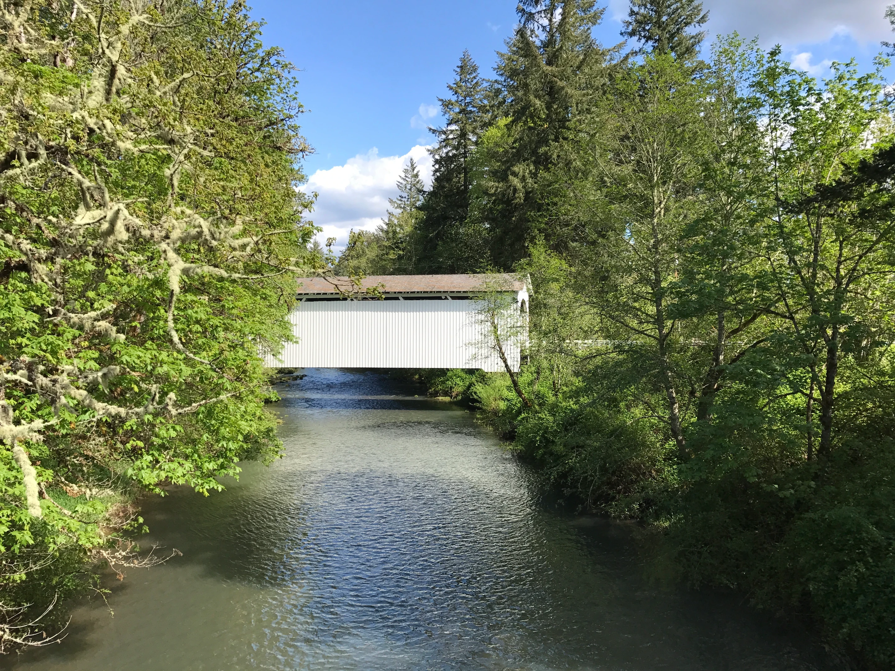 Mosby Creek Bridge — creek setting