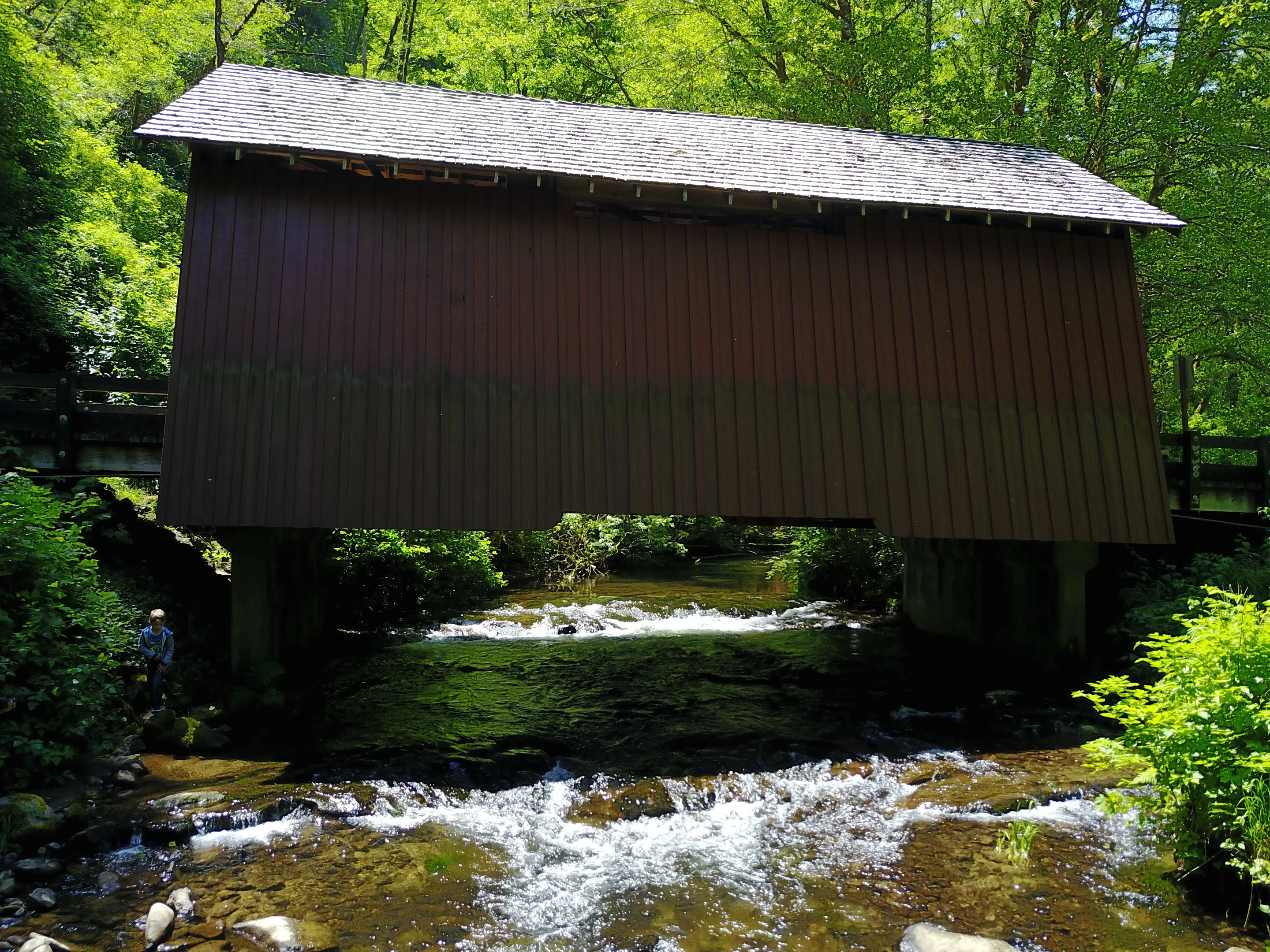 North Fork Yachats Bridge — forest setting