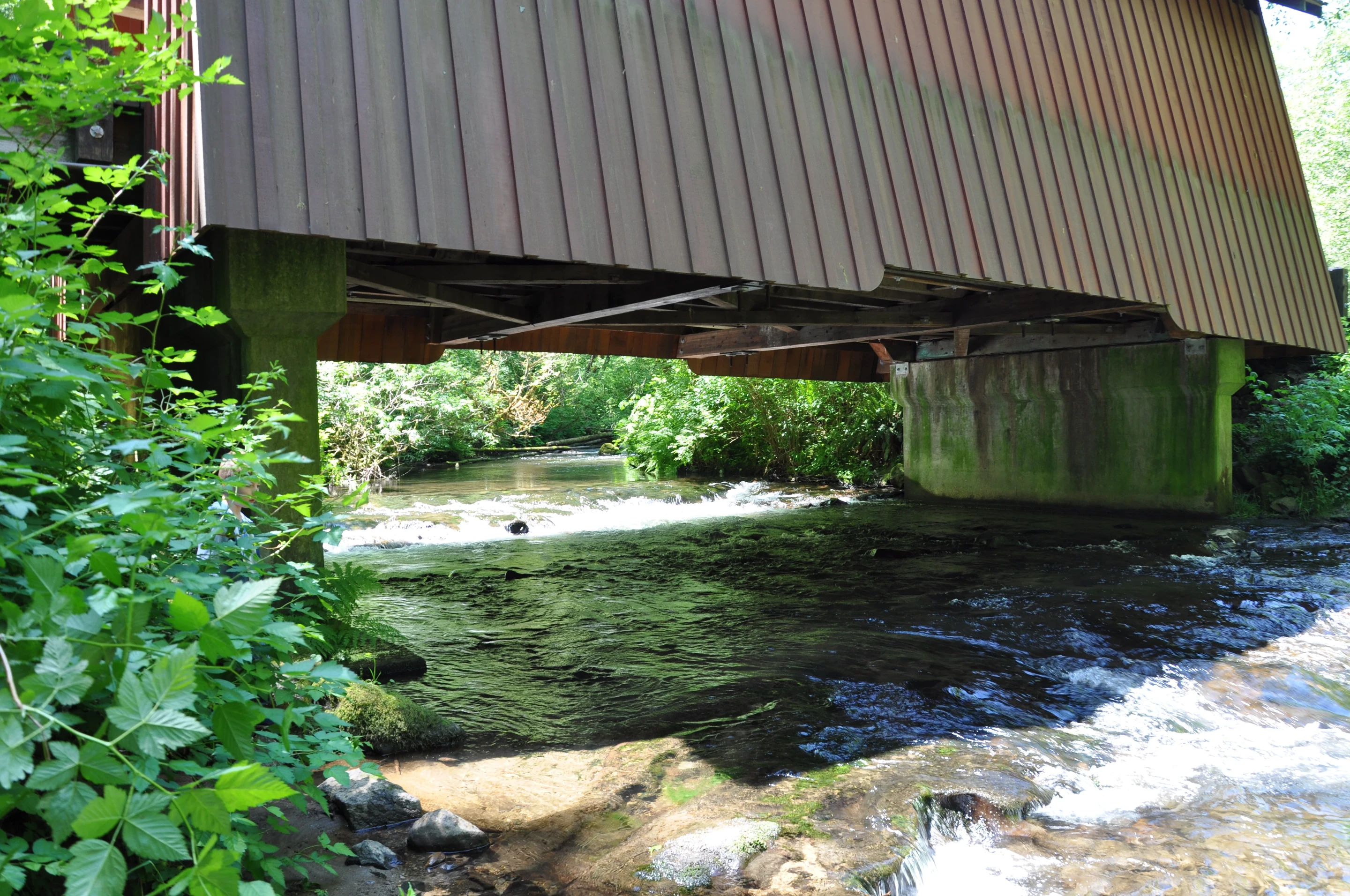 North Fork Yachats Bridge — creek view