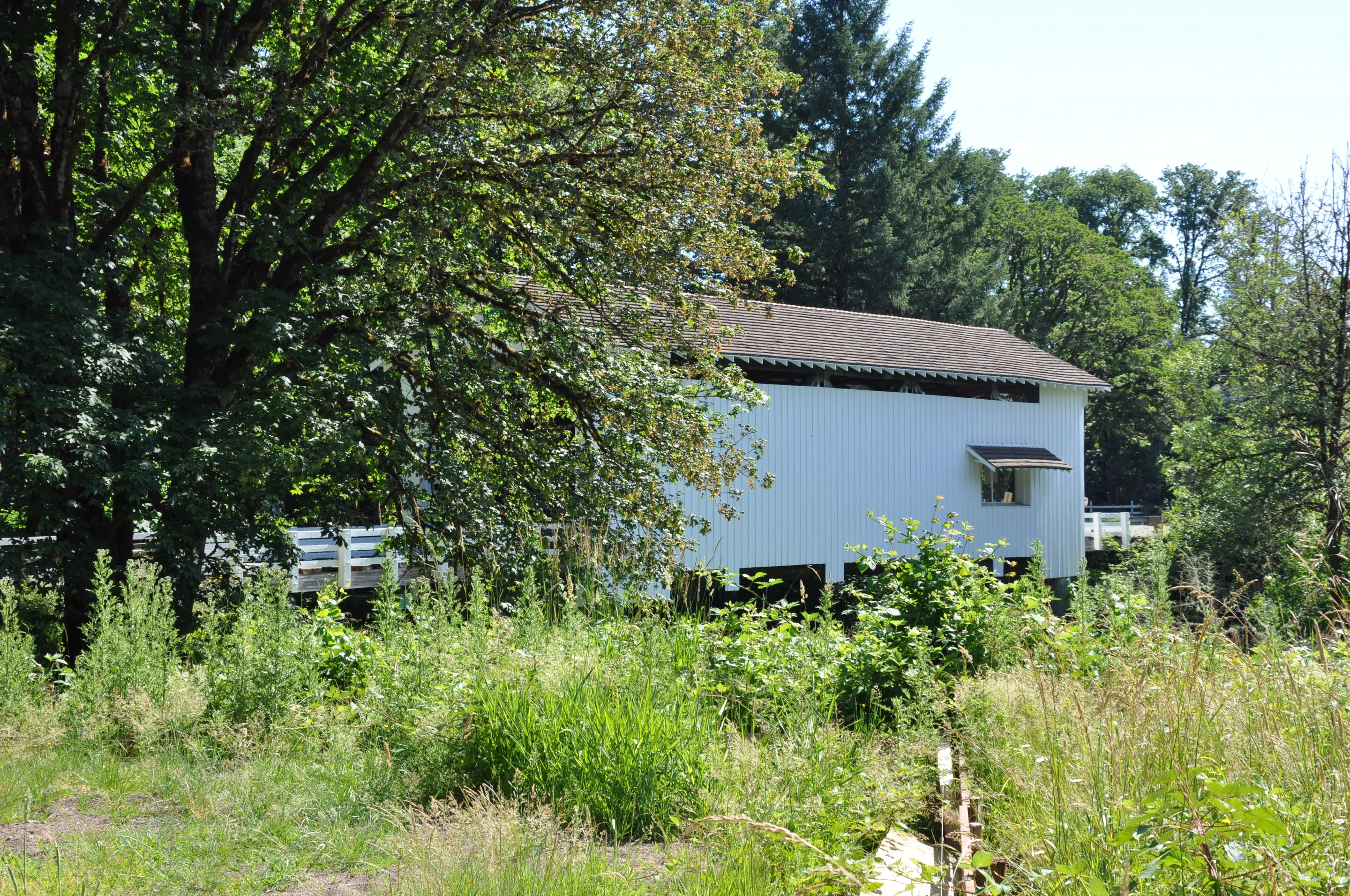 Earnest Bridge — three-quarter view