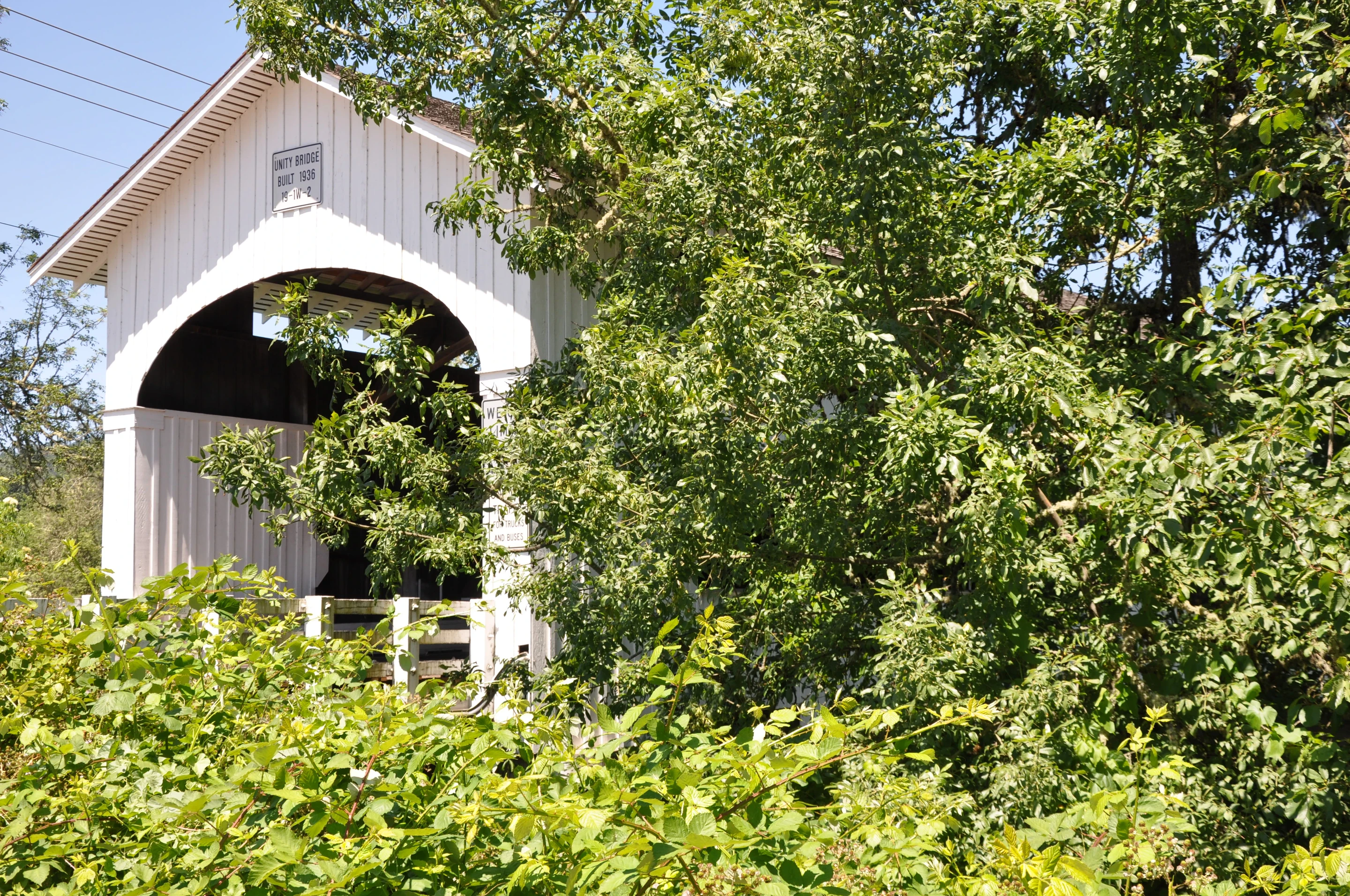 Unity Bridge — downstream view
