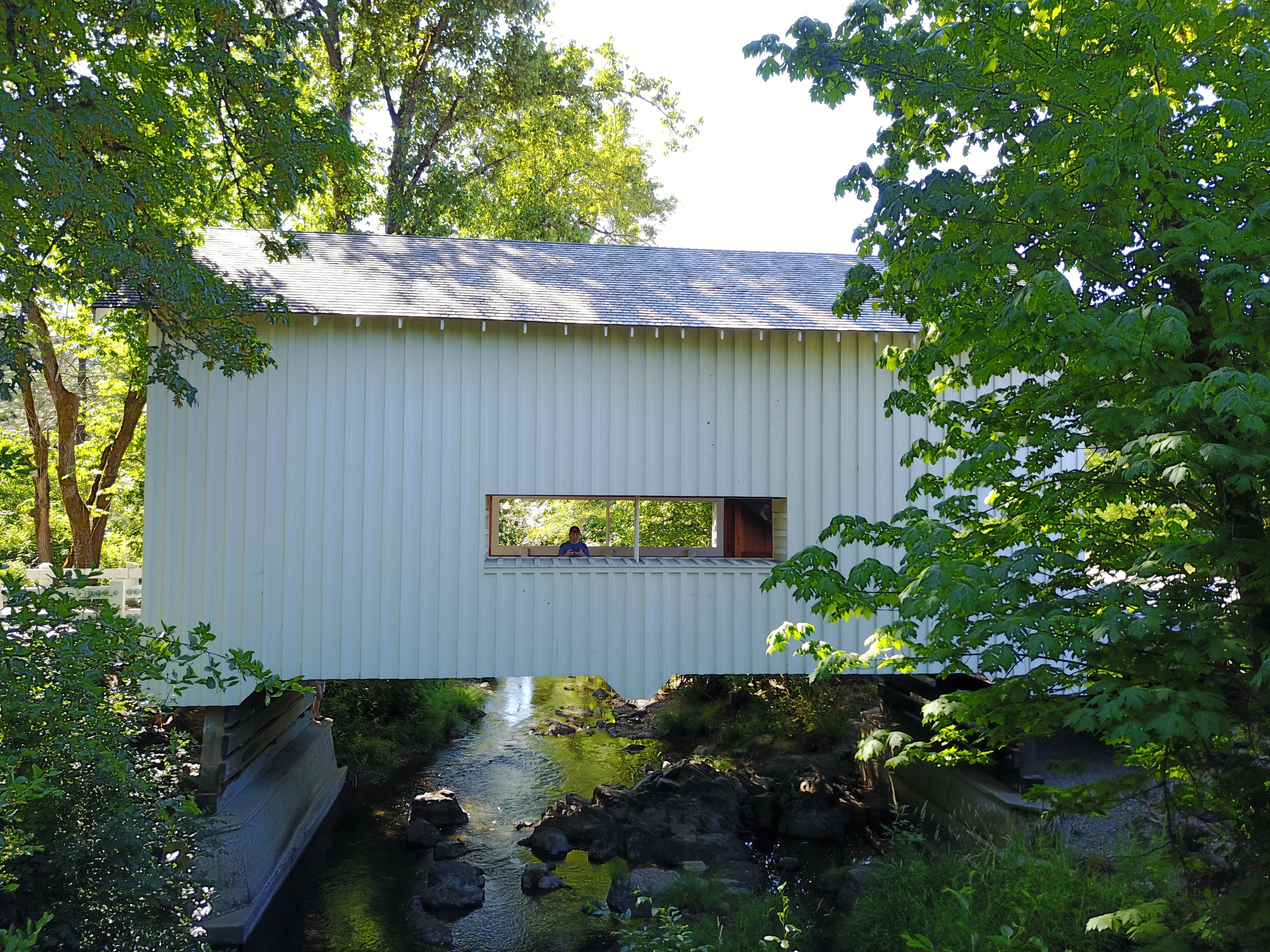 Neal Lane Bridge — aerial view