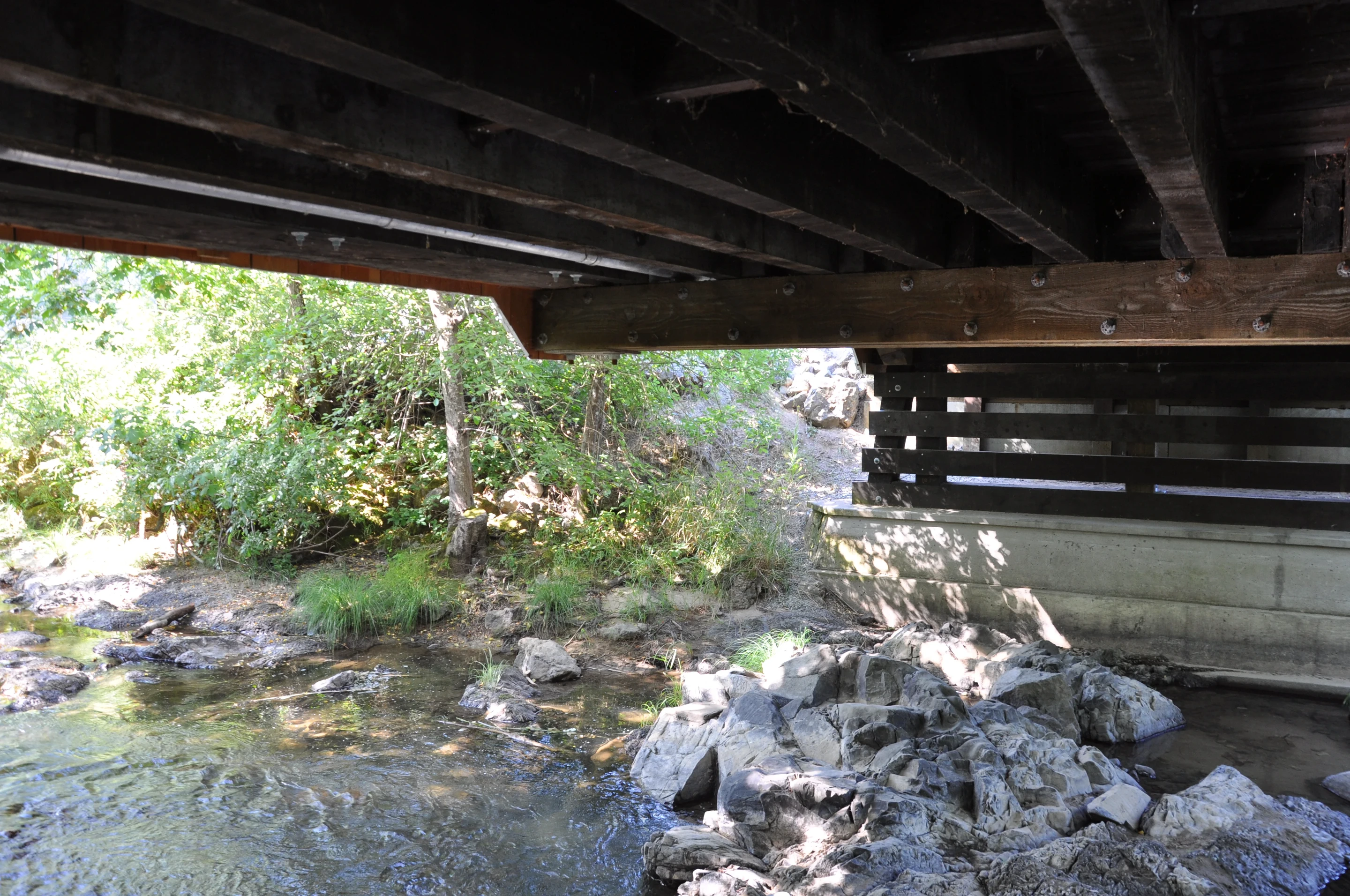 Neal Lane Bridge — three-quarter view