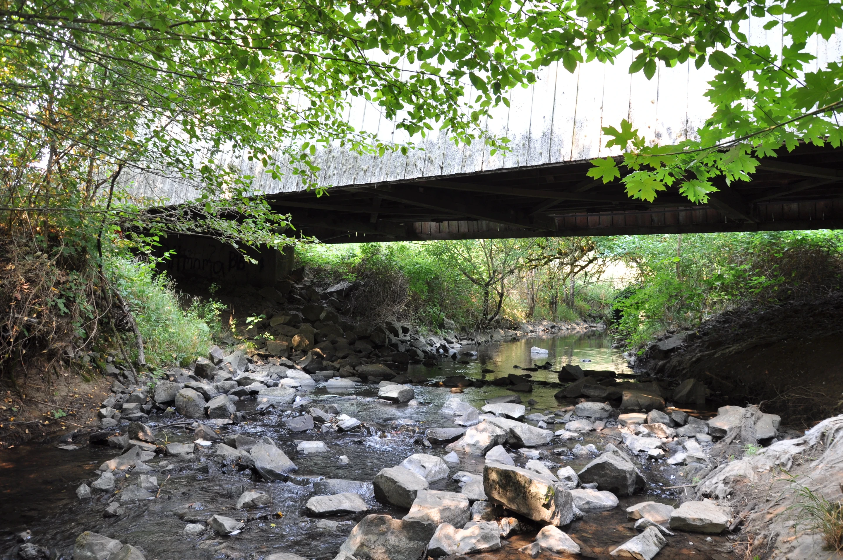 Irish Bend Bridge — interior view